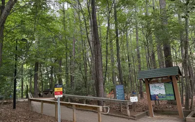 Kids playing on natural wooden climbing features and stepping stones at Hemlock Bluffs.